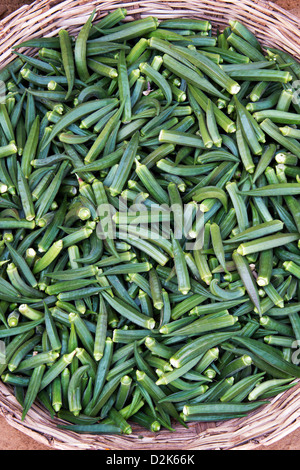 Abelmoschus esculentus. L'Okra (Ladies dita) ortaggi in un cesto indiano Foto Stock