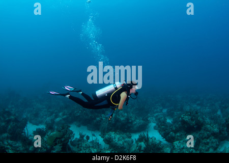 Femmina sub su una barriera corallina in Bahamas Foto Stock