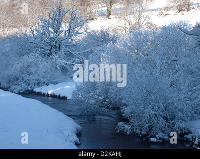 Il flusso attraverso la coperta di neve valle sul Exmoor, Somerset, Regno Unito. Gennaio 2013 Foto Stock