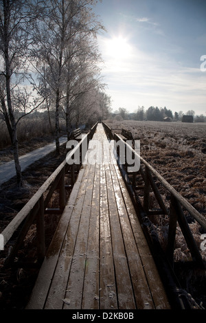 Riedling, Germania, il ponte Federsee in Europe si riserva Foto Stock