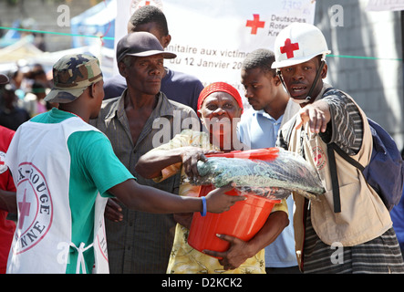 Carrefour, Haiti, non articoli alimentari distribuzione della Croce Rossa tedesca Foto Stock