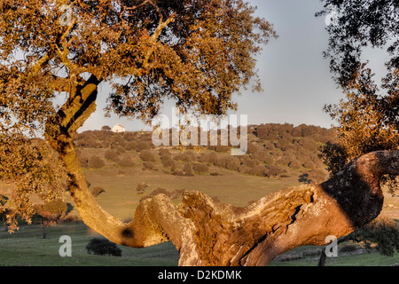 Paesaggio rurale di Castro Verde, nella regione di Alentejo, il Portogallo e la storica chiesa di Sao Pedro das Cabecas in background Foto Stock