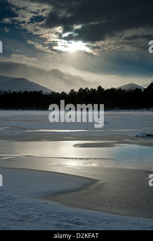 Loch Morlich nel Parco Nazionale di Cairngorms Aviemore Inverness-shire. SCO 8903 Foto Stock