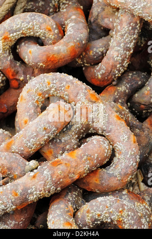 Close up di ferro arrugginito catene barca giacente in un heap Foto Stock