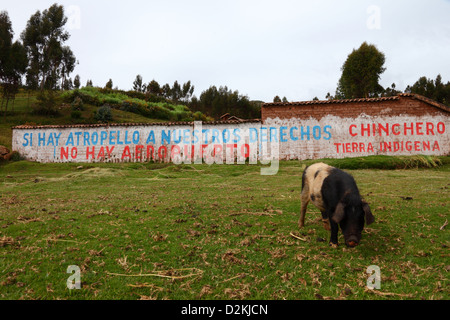 La scrittura sulla parete di fattoria per protestare contro i piani per la costruzione di un aeroporto internazionale vicino al villaggio di Chinchero , vicino a Cusco, Perù Foto Stock