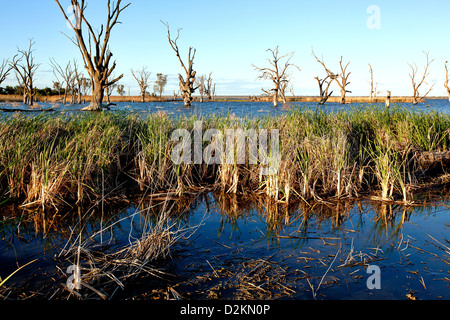 Pelican Point Lake Bonney Riverland Sud Australia Foto Stock