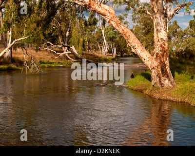 Nei pressi di Charters Towers, Queensland, Australia Foto Stock