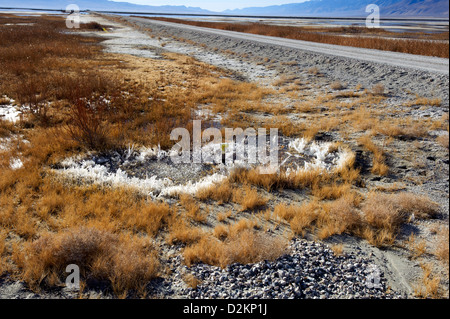 La minore Owens River Project Foto Stock