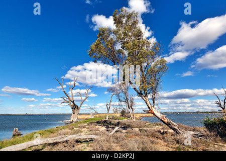 Pelican Point Lake Bonney Riverland Sud Australia Foto Stock