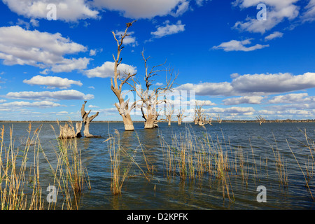 Pelican Point Lake Bonney Riverland Sud Australia Foto Stock