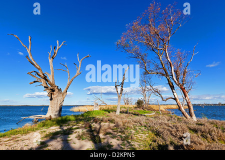 Pelican Point Lake Bonney Riverland Sud Australia Foto Stock