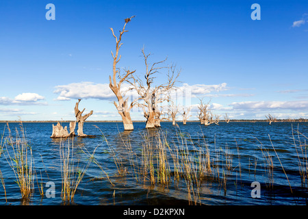 Pelican Point Lake Bonney Riverland Sud Australia Foto Stock