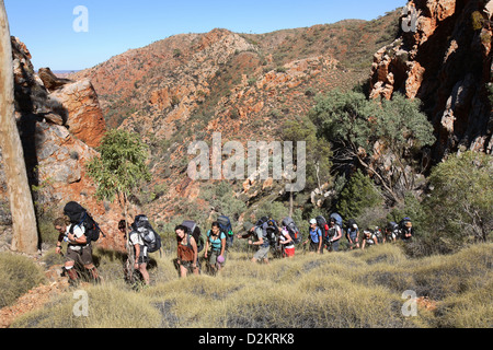 Walkers sul Larapinta Trail. West MacDonnel Ranges, Australia centrale. Foto Stock