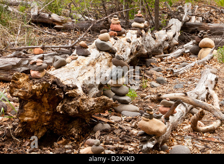 Cataste di pietre su un albero morto tronco al Buddha Beach vicino Cattedrale Rock nella parte ovest di Sedona, in Arizona, Stati Uniti d'America Foto Stock