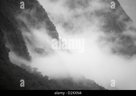 Luce di sole catture una nebbia di salita lungo le scogliere di suoni in Nuova Zelanda. Foto Stock