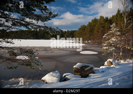 Congelati Loch Garten nelle colline della coperta di neve Cairngorms National Park. SCO 8906 Foto Stock