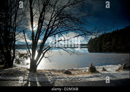 La Cairngorm mountains da congelati Loch Garten Osprey Centre nelle colline della coperta di neve Parco Nazionale. SCO 8918 Foto Stock