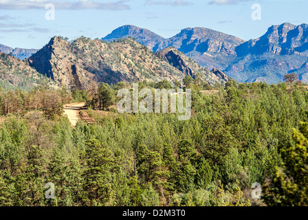 Un polveroso strada sterrata conduce attraverso un bosco di aspre montagne in Sud Australia Flinders Ranges. Foto Stock