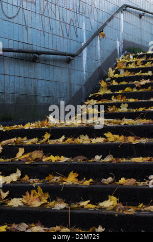 Fasi di uno dei Hulme metropolitane coperto di foglie di autunno. La metropolitana consente ai pedoni di attraversare sotto il Mancunian Way. Foto Stock