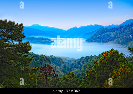 Mare di nebbia. Vista dalla montagna alta. Doi Angkhang montagna, chiangmai Thailandia. Foto Stock
