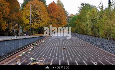 Rose bianche giacciono su piastre di acciaio della piattaforma 17 memoriale alla stazione di Grunewald di Berlino, Germania, 24 ottobre 2012. Il memoriale commemora la deportazione treni con gli ebrei tedeschi da Berlino. Il primo di questi treni hanno iniziato ad operare il 18 ottobre 1941. Fino al mese di aprile 1942, questi treni erano principalmente destinati a gehttos in Europa orientale. A partire dalla fine del 1942 in poi, quasi tutti i treni departation è andato al campo di sterminio di Auschwitz e Birkenau a Theresienstadt campo di concentramento. Circa 50.000 ebrei di Berlino sono stati deportati dalla stazione di Grunewald, con circa 17.000 persone Foto Stock