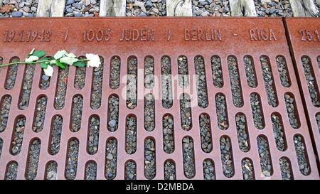 Rose bianche giacciono su piastre di acciaio della piattaforma 17 memoriale alla stazione di Grunewald di Berlino, Germania, 24 ottobre 2012. Il memoriale commemora la deportazione treni con gli ebrei tedeschi da Berlino. Il primo di questi treni hanno iniziato ad operare il 18 ottobre 1941. Fino al mese di aprile 1942, questi treni erano principalmente destinati a gehttos in Europa orientale. A partire dalla fine del 1942 in poi, quasi tutti i treni departation è andato al campo di sterminio di Auschwitz e Birkenau a Theresienstadt campo di concentramento. Circa 50.000 ebrei di Berlino sono stati deportati dalla stazione di Grunewald, con circa 17.000 persone Foto Stock