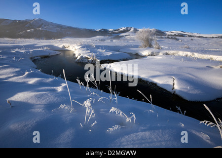 WY00326-00...WYOMING - erba smerigliato lungo il fiume Lamar in Lamar Valle del Parco Nazionale di Yellowstone. Foto Stock