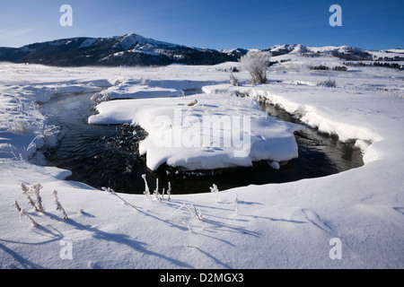 WY00329-00...WYOMING - erba smerigliato lungo il fiume Lamar in Lamar Valle del Parco Nazionale di Yellowstone. Foto Stock