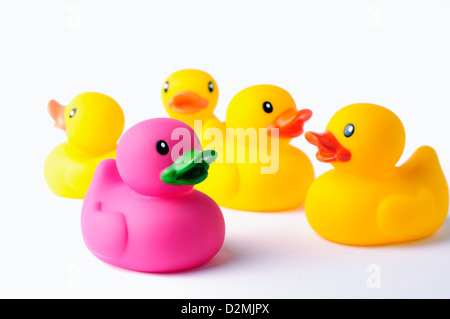Giocattolo rosa rubber duck si distingue dal giallo toy gomma anatre tutti su sfondo bianco Foto Stock