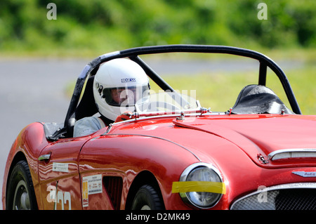 Red Austin Healey compete a Gurston Down hillclimb di velocità Foto Stock