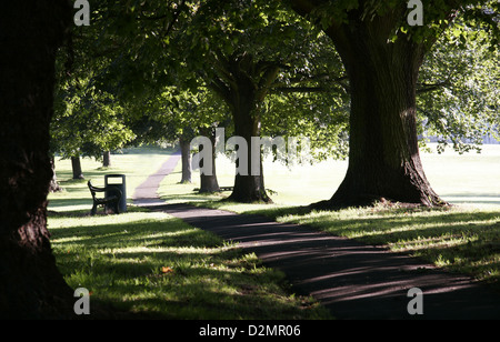 Un ombroso Lane Bath City in un caldo giorno d'estate Foto Stock