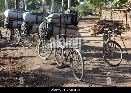 NAMPULA, Mozambico, Maggio 2010 : offrendo carbone da porta a porta. Un sacco di carbone vende per 100 mt, (circa US$3.00). Foto Stock