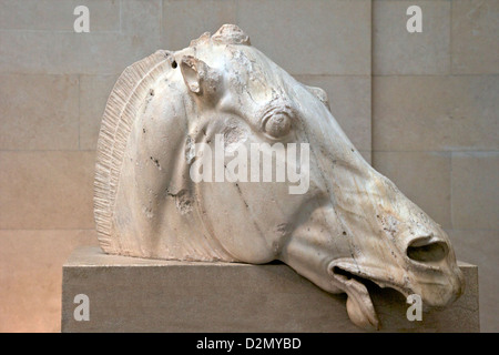 Testa di cavallo dal carro di moon-dea Selene, frontone orientale, il Partenone British Museum di Londra, Inghilterra, Regno Unito, GB, British è Foto Stock