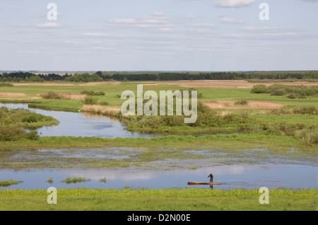 Una vista generale in tutta l'Biebrzanski paludi, vicino Brzostowo, Polonia Foto Stock