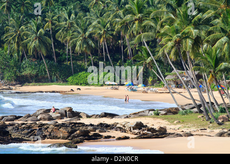 Palm Paradise Beach, Tangalle, Sri Lanka Foto Stock