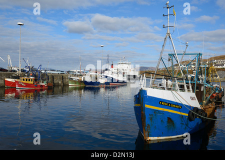 Barche da pesca in porto, Mallaig, Highlands, Scotland, Regno Unito, Europa Foto Stock
