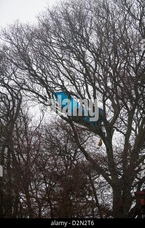 Combe Haven Bexhill, Hastings, Regno Unito. Il 29 gennaio 2013. Gli sfratti presso il laghetto decoy Combe Haven, Bexhill Hastings bypass. 3 persone sono state tolte dagli alberi e 1 persona è stato arrestato. Vi è una grande presenza di sicurezza di circa un centinaio di polizia e 15 persone rimangono negli alberi. La scorsa notte East Sussex County Council ha rifiutato di consentire la fornitura di cibo e medicine in alberi. Attualmente gales sono previsioni per più tardi di oggi e stasera. Credito: Adrian arbib / Alamy Live News Foto Stock