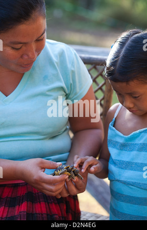 Amerindian donna che mostra il modello bambino tartarughe ha realizzato da Bulletwood resina gommosa e vende come souvenir. Nappi. La Guyana. Foto Stock