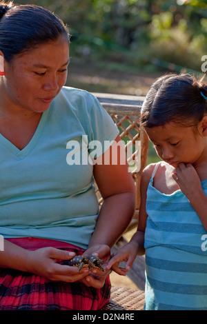 Amerindian donna che mostra il modello bambino tartarughe ha realizzato da Balata in resina di gomma e vende come souvenir. Nappi. La Guyana. Foto Stock