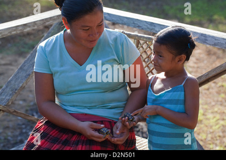 Amerindian donna che mostra il modello bambino tartarughe ha realizzato da Bulletwood resina gommosa e vende come souvenir. Nappi. La Guyana. Foto Stock