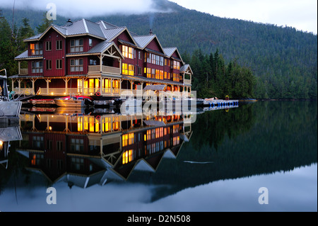 King Pacific Lodge, grande orso nella foresta pluviale, British Columbia, Canada, America del Nord Foto Stock