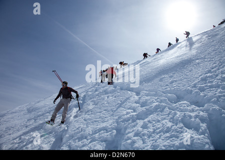 Sci alpinismo nelle Alpi, Salita a Punta San Matteo, sul confine di Lombardia e Trentino Alto Adige, Italia, Europa Foto Stock