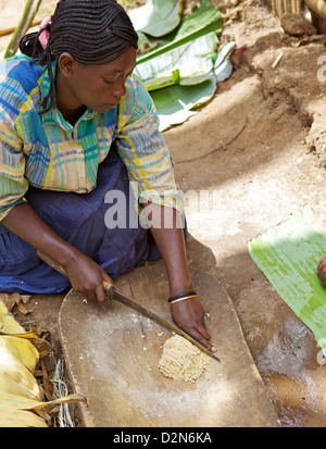 Signora trinciatura di false Chencha banana, Dorze, Etiopia, Africa Foto Stock