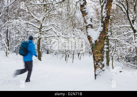 Escursionista maschio in esecuzione attraverso la coperta di neve bosco in prossimità di kildale village, North York Moors National Park, England, Regno Unito Foto Stock