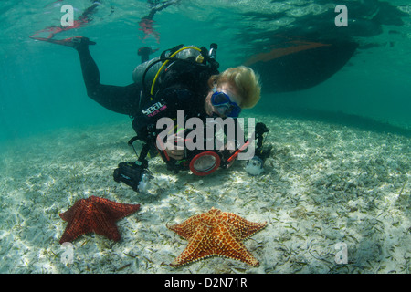 Sommozzatore nelle limpide acque dei Caraibi di Curacao Foto Stock