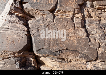 Arte rupestre in corrispondenza del sito di Foum Chenna, Oued Tasminaret Valley, Tinzouline, Valle di Draa, Marocco, Africa del Nord Foto Stock