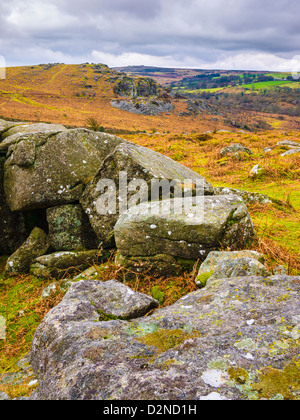 Una capanna cerchio a Smallacombe rocce di Dartmoor guardando verso Holwell Tor. Devon, Inghilterra. Foto Stock