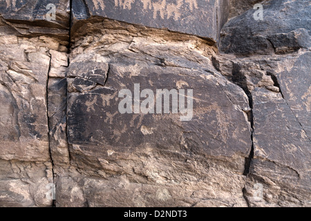 Arte rupestre in corrispondenza del sito di Foum Chenna, Oued Tasminaret Valley, Tinzouline, Valle di Draa, Marocco, Africa del Nord Foto Stock