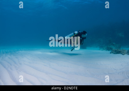 Femmina sub su una barriera corallina in Bahamas Foto Stock