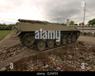 Il Mowag 3M1 "Pirat 18" è un moderno veicolo militare progettato per operazioni rapide di dispiegamento e combattimento. Noto per la sua versatilità, è utilizzato da diverse forze armate in tutto il mondo. Foto Stock